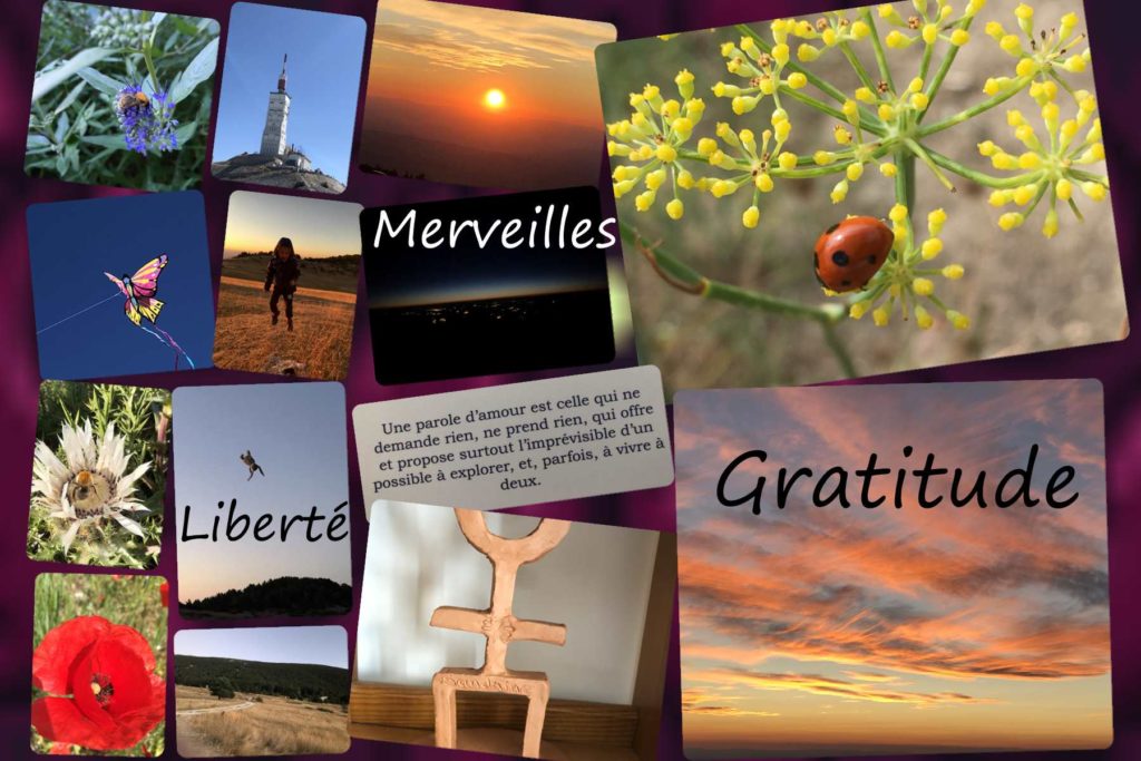 Mon tableau de visualisation positive de mon année 2020